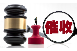 伊春要账公司更多成功案例详情